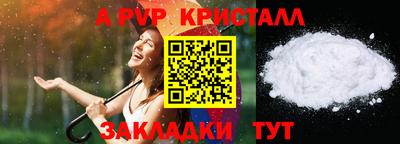 СК Будённовск
