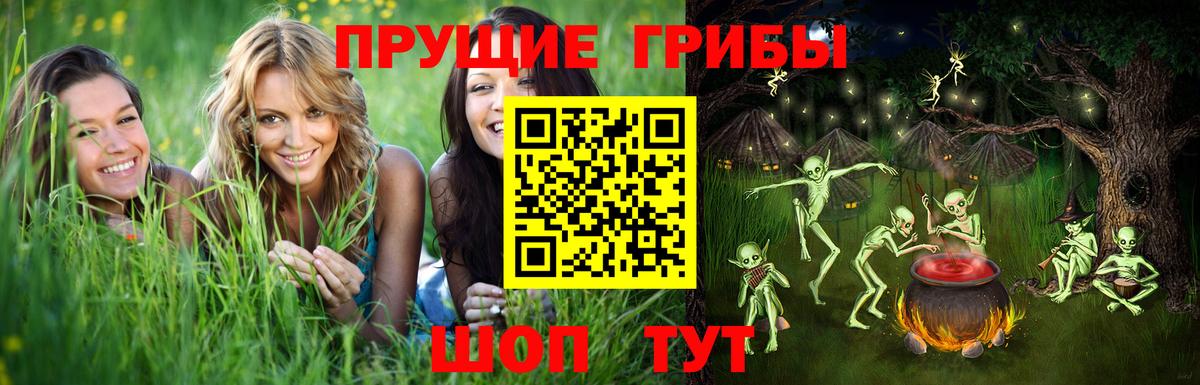 Псилоцибиновые грибы Magic Shrooms  Вход с VPN  Рассказово 